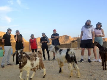 Desert Jeep Safari and Camel Ride with Bedouin Dinner in Marsa Alam
