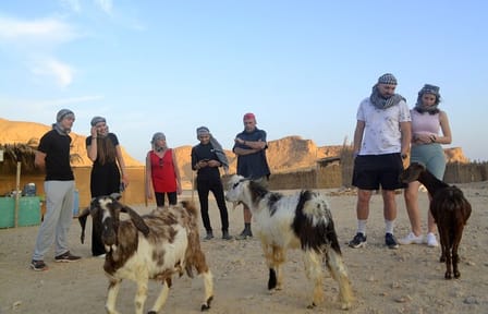 Desert Jeep Safari , Camel Riding & Bedouin dinner in Marsa Alam