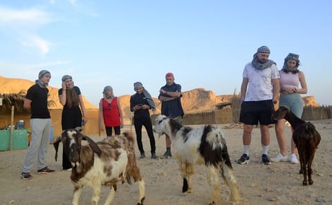 Desert Jeep Safari and Camel Ride with Bedouin Dinner in Marsa Alam