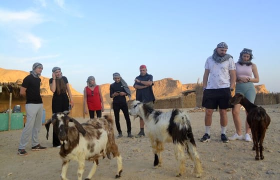 Desert Jeep Safari , Camel Riding & Bedouin dinner in Marsa Alam