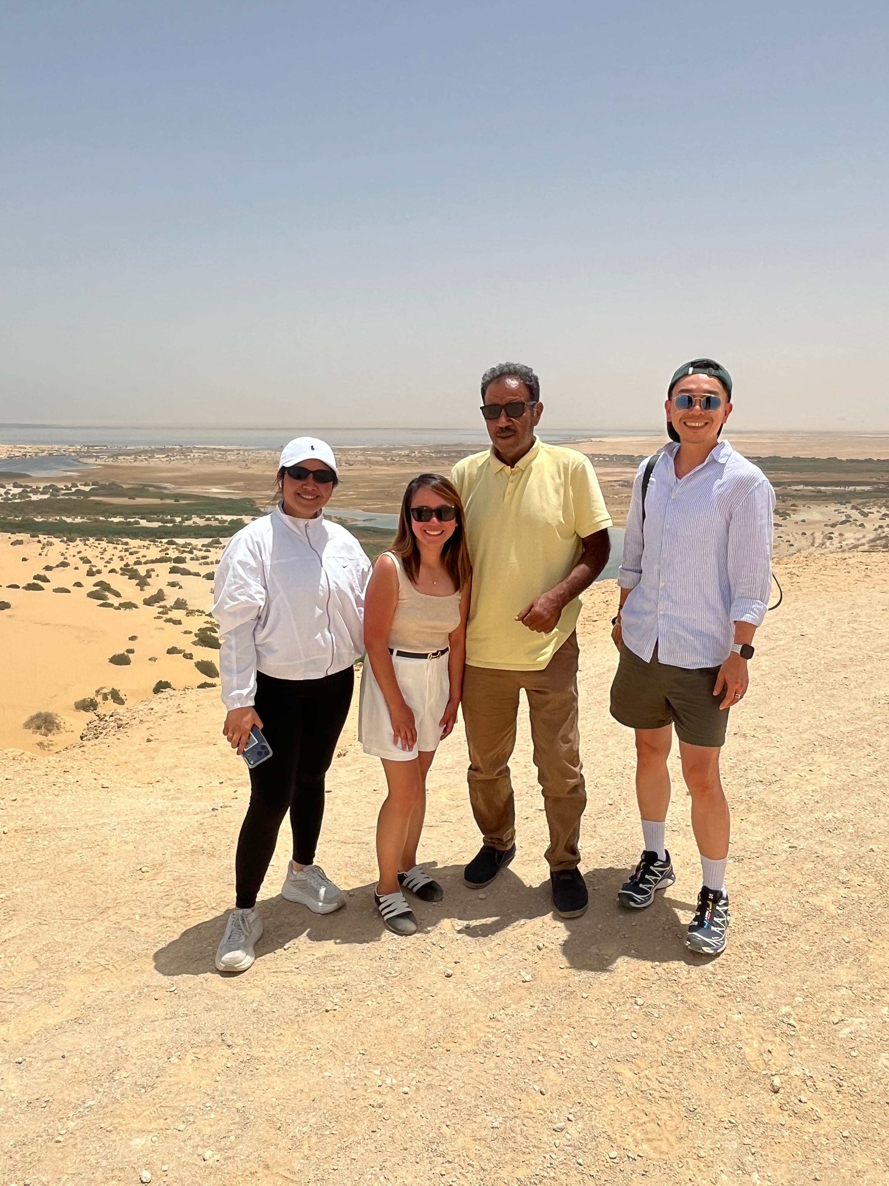 Ancient whale fossils at Wadi El Hitan in Fayoum