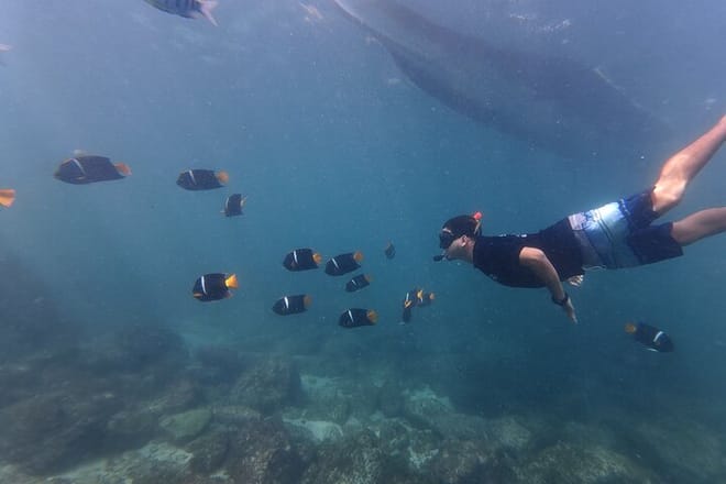 Hidden Beach Snorkeling Adventure 2