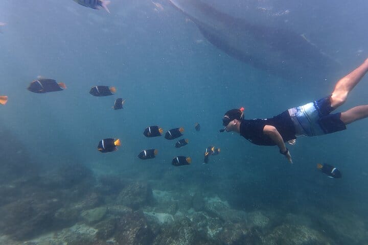 Hidden Beach Snorkeling Adventure 2