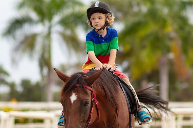 Fethiye Horse Riding - Professional Instructor & Friendly Horses 10