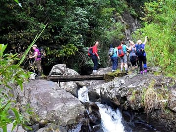 Heeloya Village Cultural Experience Tour from Kandy