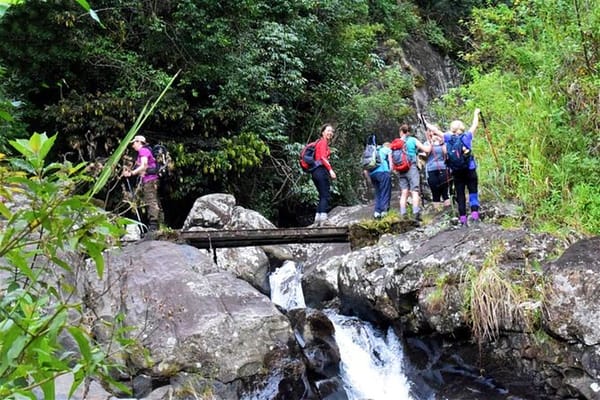 Heeloya Village Tour from Kandy