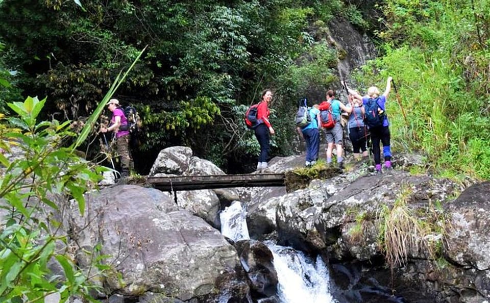 Heeloya Village Cultural Experience Tour from Kandy