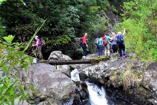 Heeloya Village Tour from Kandy
