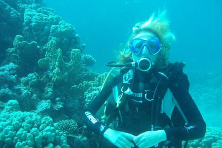 Scuba Diving Adventure in Agadir: Explore the Atlantic’s Wonders