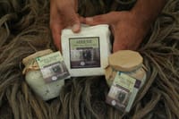 Disappearing Bulgarian Breeds of Pets and Tasting Organic Products in North Pirin