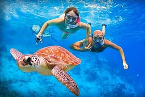 Full-dayTurtle Adventure: ATV, Zipline, Cenote & Turtle Swim