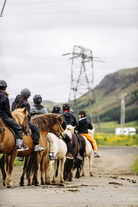 02B - The Siggi Tour photo 5