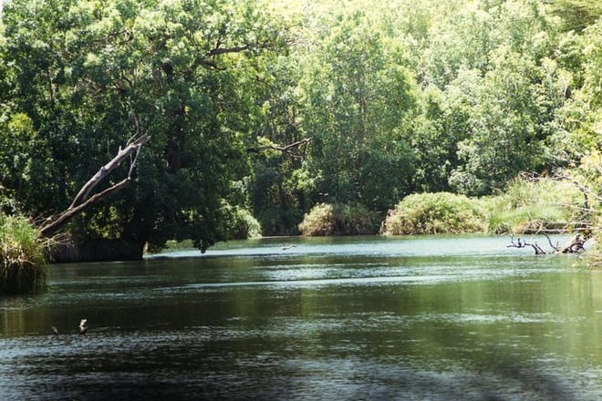Mzima springs