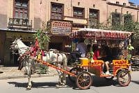 All Inclusive Private Day Tour: Kashgar City Highlights and Animal Bazaar 4