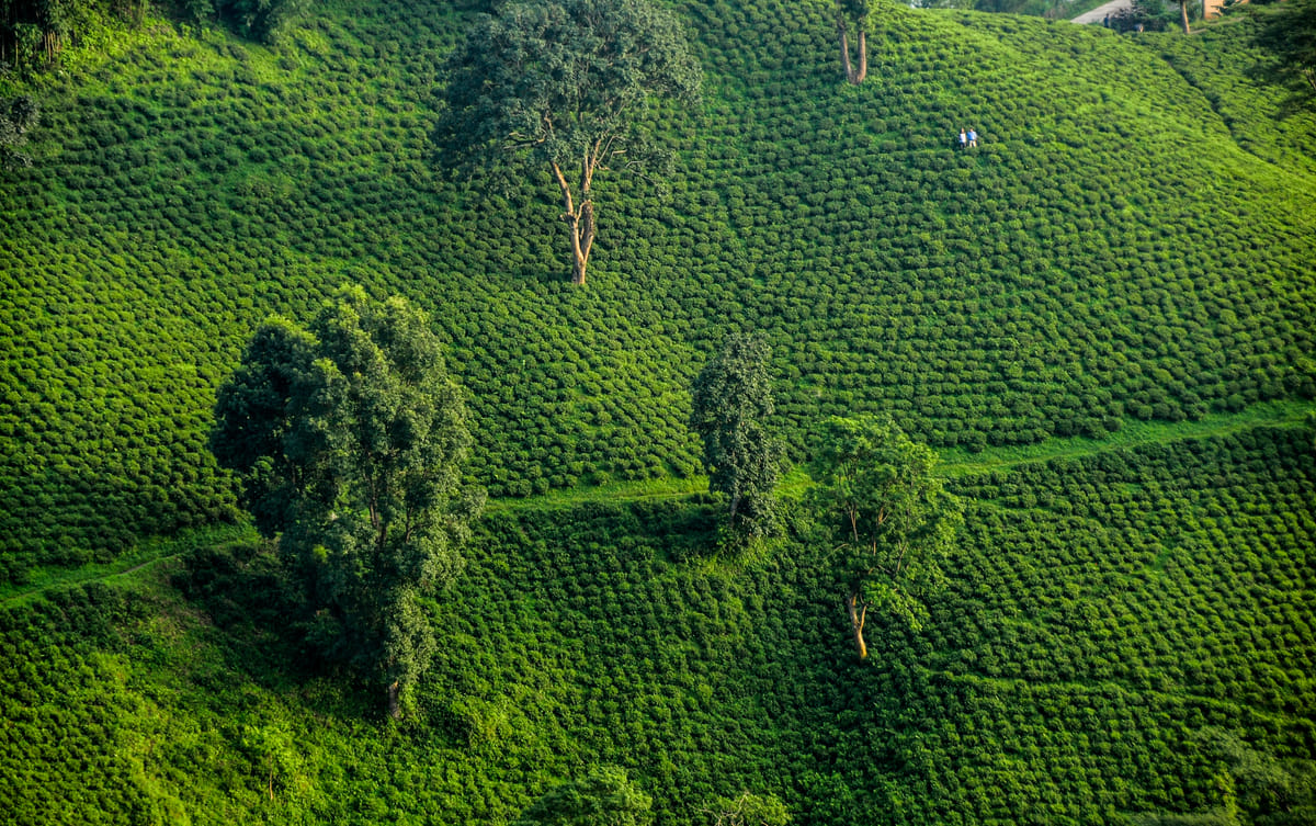 19 Days Mera Peak Climbing & Expedition – One Life-Changing Himalayan Adventure