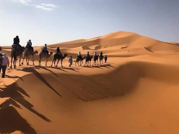 Camel Trek in Merzouga