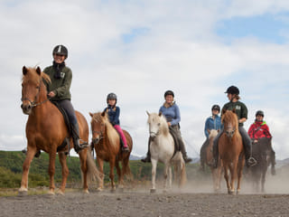 Lava Tour - Horseback Riding through the Lava Fields, photo 23