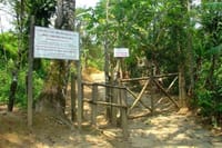 Gold trail adventure cultural hike BY PARATY TOURS 10