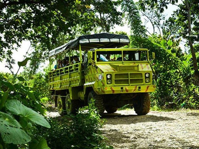 Safari of Fields - Punta Cana 6
