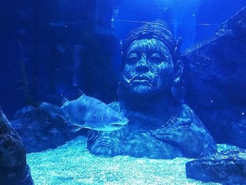 Sea Life Bangkok Ocean World Tickets