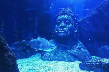 SEA LIFE Bangkok Ocean World Standard Admission Ticket