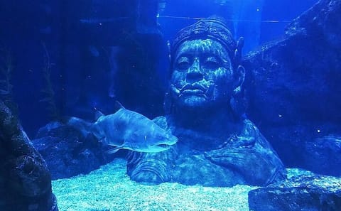 SEA LIFE Bangkok Ocean World Standard Admission Ticket