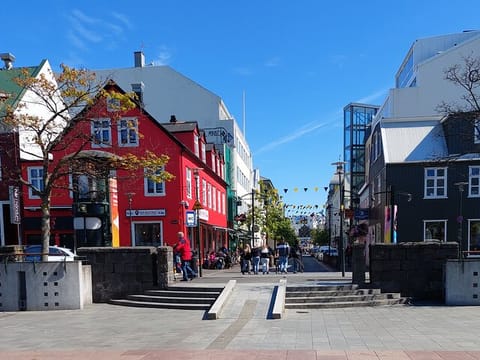 Exclusive Private Reykjavik Walking Tour with Food – Guided by Otto the Viking, photo 4
