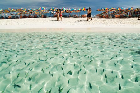 Bangkok, Golden Triangle & Phuket – Domestic Flights Incl. – Private (English Only)