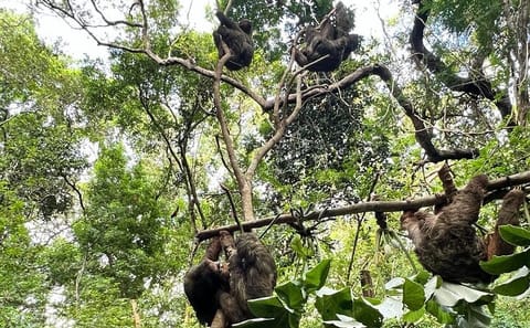 ATV Adventure and Wildlife Encounter in Roatán, Honduras
