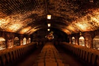 Small-Group Half Day Tour to Concha y Toro Winery 7