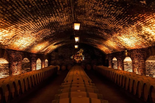 Small-Group Half Day Tour to Concha y Toro Winery 7