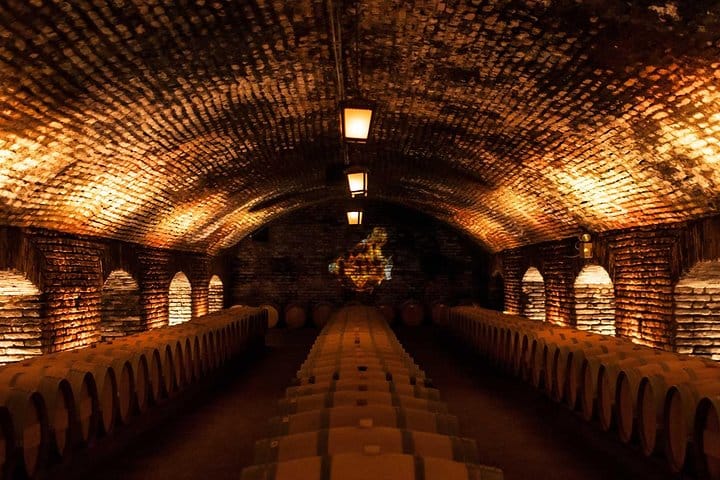 Small-Group Half Day Tour to Concha y Toro Winery 7