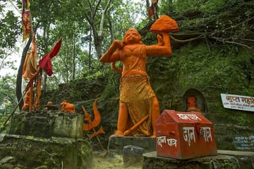 Tiger Safari Tour in Pench and Satpura National Parks from Nagpur