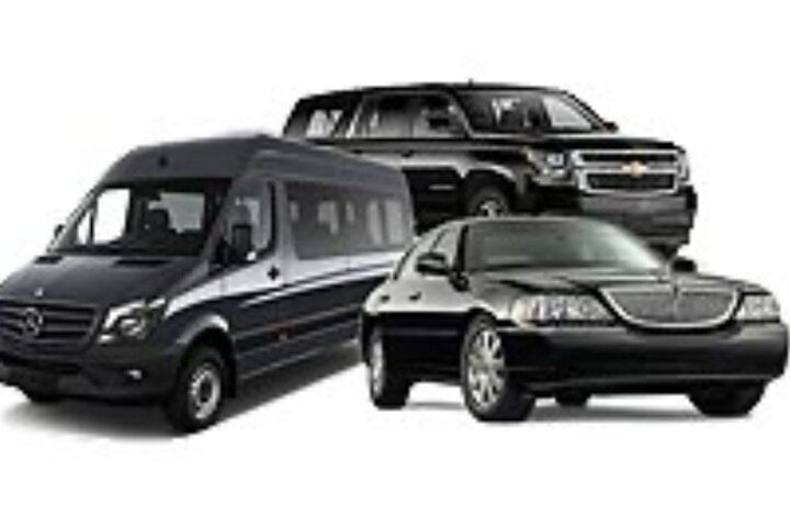 Puntacana AirPort transfer (roundtrip)-puntacana bavaro