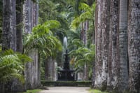 The Botanical Garden, one of the 4 wonders of Rio de Janeiro.
