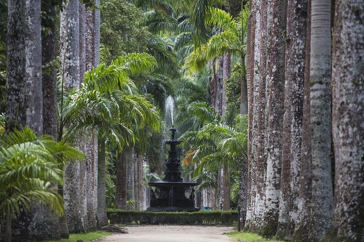 The Botanical Garden, one of the 4 wonders of Rio de Janeiro.