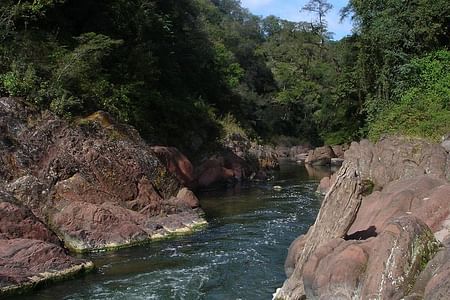 Yungas Adventure: Explore El Rey National Park 4×4 Tour from Salta