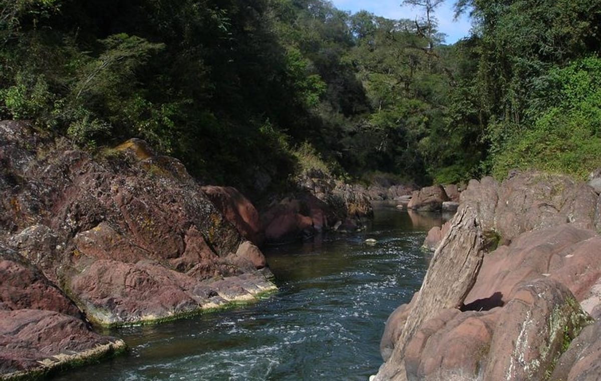 Yungas and El Rey National Park 4×4 Full Day Tour from Salta