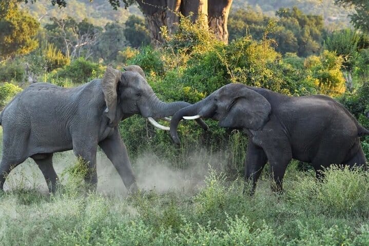 15 minutes scenic helicopter flight above Victoria Falls-Zimbabwe