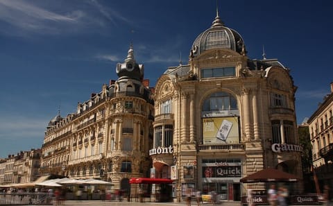 Private Walking Tour of Historic Sites in Montpellier