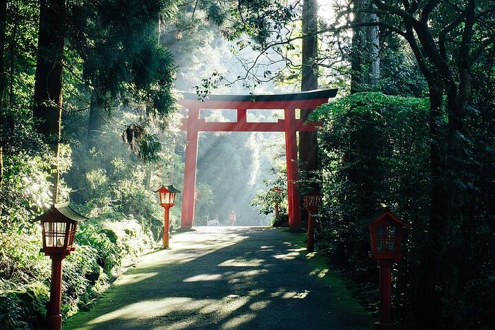 Guided Private Hakone Tour GREEN NUMBER PLATES