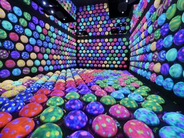 TeamLab Planets TOKYO Admission Entry Ticket