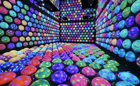 TeamLab Planets TOKYO Admission Entry Ticket