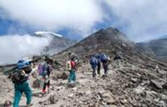 Trek Mount Kilimanjaro through Marangu Route