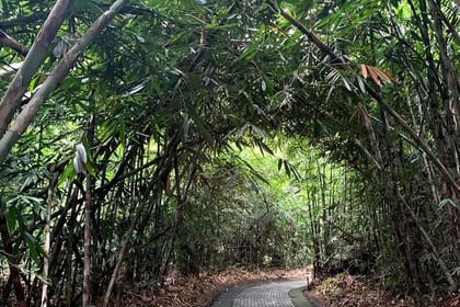 Bali Rural and Waterfall Tour