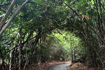 Kintamani Rural and Waterfall Private Tour in Bali