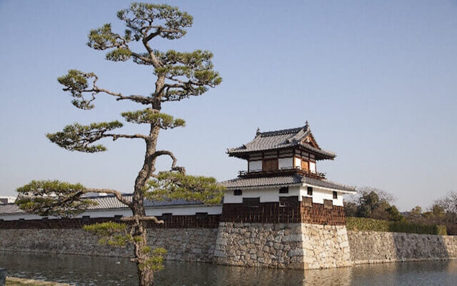 1 Day Hiroshima and Miyajima Bus Tour photo 2
