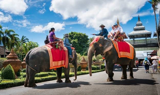 PATTAYA Join Tour Nong Nooch Garden-Thai Culture-Elephant Show 5