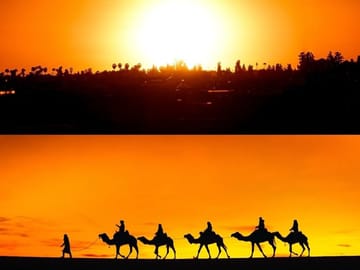 Desert Dinner and Quad Biking Adventure in Agafay, Marrakech