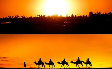 Desert Dinner and Quad Biking Adventure in Agafay, Marrakech